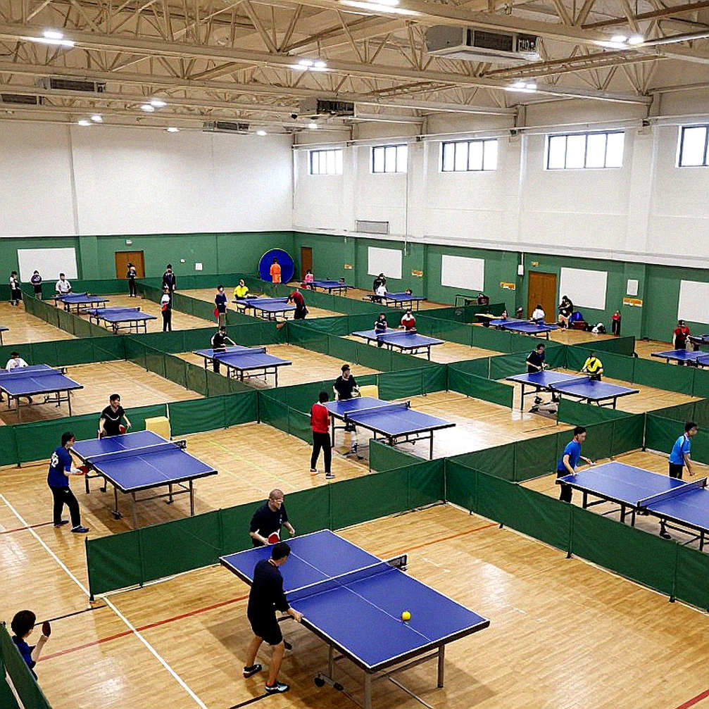 Bóng bàn Việt Nam 2026: Kỷ luật của con số