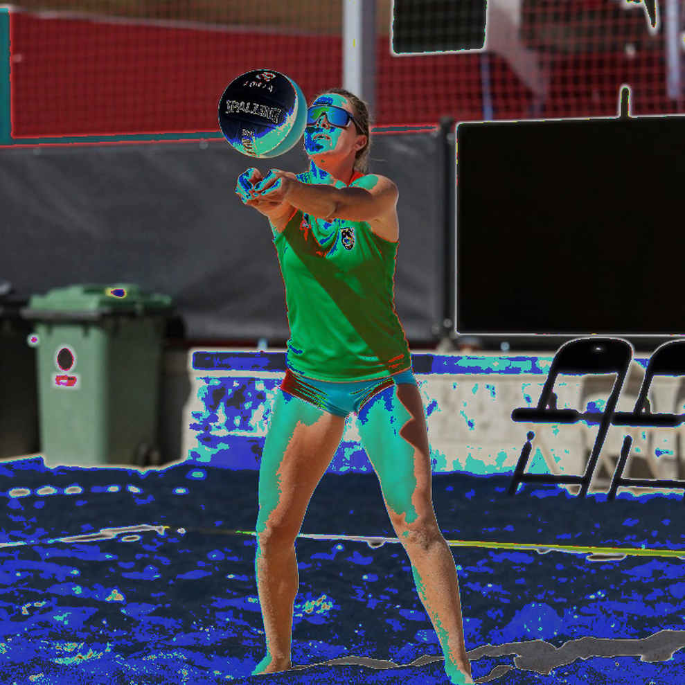 Vietnam Women's Volleyball 2029: The Defensive Rhythm Reshaping Asia's Hierarchy