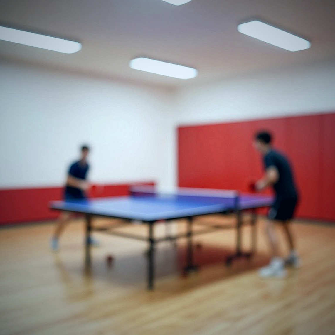 URSU cú ăn ba tại Balkan Championships: Moldova thống trị giải khu vực, Diaconu quét sạch đơn nữ