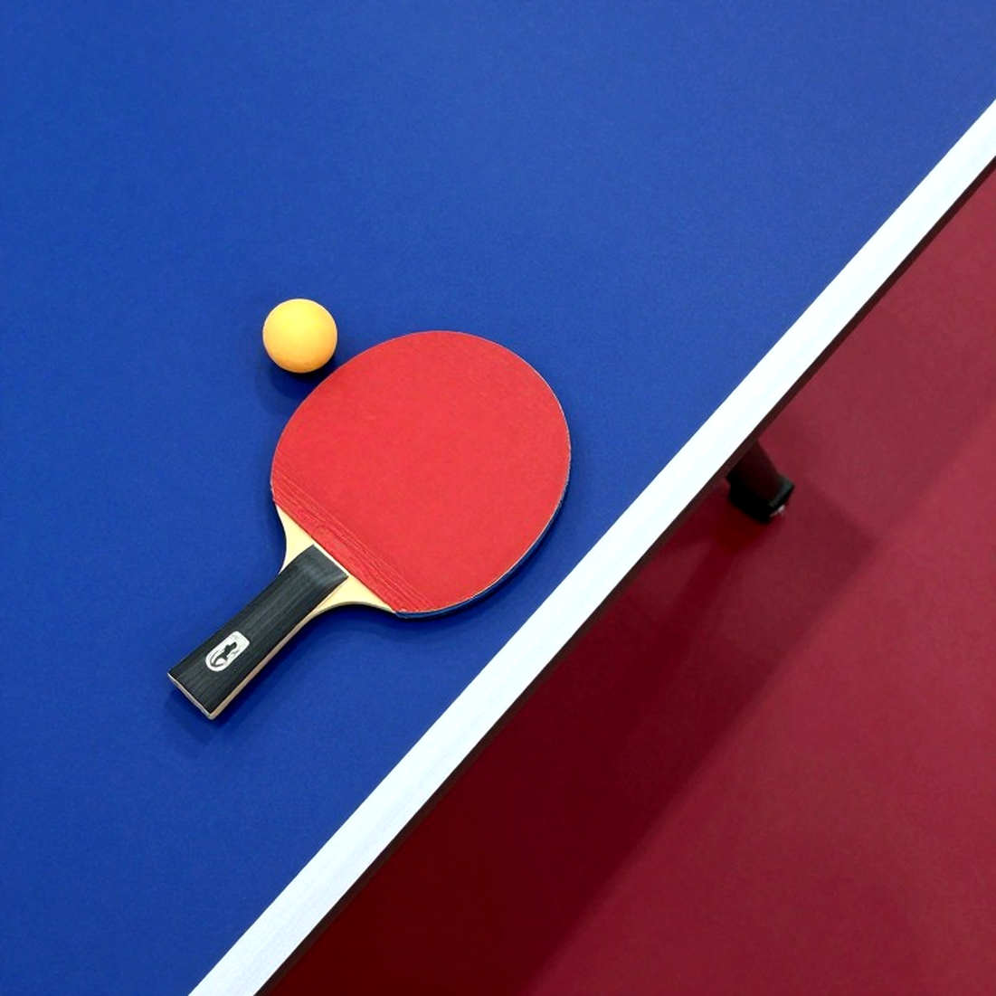Table Tennis England Sets Record DiSE Intake for 2026-28: 18 New Places and the Unanswered Gap Table Tennis England Sets Record DiSE Intake for 2026-28: 18 New Places and the Unanswered Gap