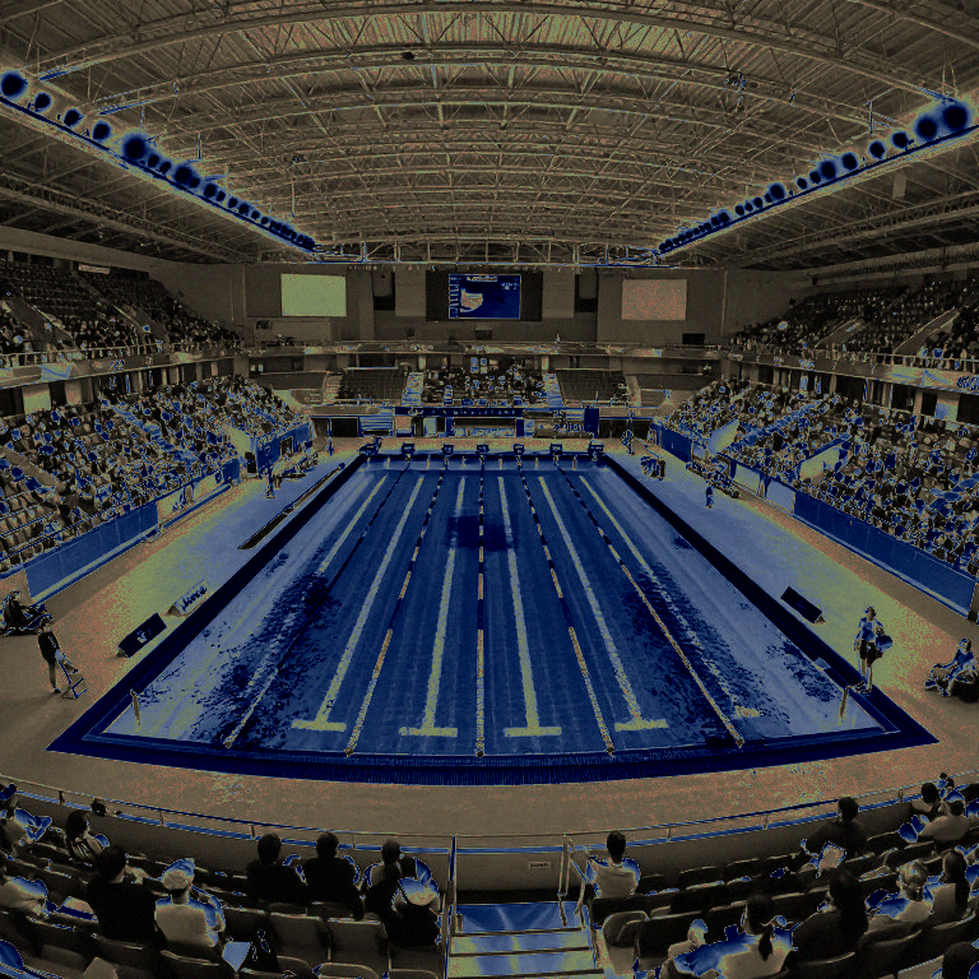 College Swimming League: Khi 12 đội bơi đại học Mỹ tự viết lại luật chơi College Swimming League: Khi 12 đội bơi đại học Mỹ tự viết lại luật chơi