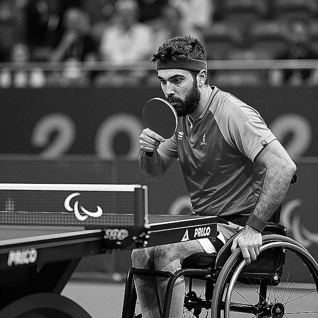Bóng bàn thế giới sau Paris 2026: Lớp sóng trẻ, ánh hào quang và những vết nứt bên dưới