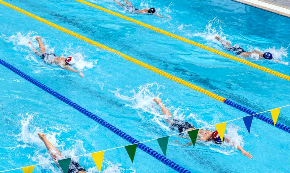 Tuyển HLV Trưởng Kiêm Giám Đốc Chương Trình: Kiến Tạo Văn Hóa 'Đại Gia Đình' Cho Tuna Swim Club