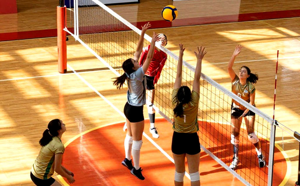 Sáu ace, không điểm đáp trả: Türkiye vào chung kết EuroVolley 2026 và giành vé Olympic 2028 bằng hệ thống nhận bóng